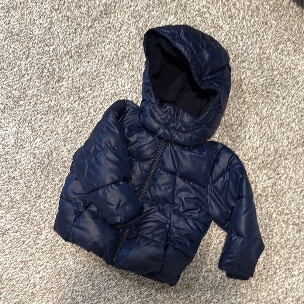 Toddler Gap Puffer Jacket